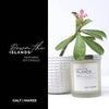 GALT & MAREE CANDLE BAMBOO CATHEDRAL 8OZ - GNMCBC8