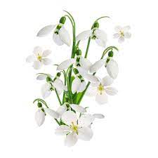 Astonish Fabric Refresher White Flowers 750ml - is on hand to bring back that just washed’ freshness to hard to wash items like curtains and carpets. It neutralizes unpleasant odors and leaves items with a fresh scent - 5060060211117 Pie's Variety Store