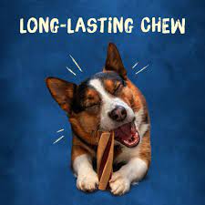 PURINA DENTALIFE DOG TREATS ORAL CARE LARGE 7CT 7.8OZ - PDACCSS53 Pie's Variety Store