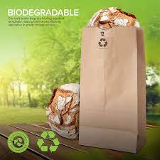 Brown Paper Lunch Bags, Paper Grocery Bags, Durable Kraft Paper Bags 10lb 100 Pack-  These multipurpose bags can hold canned foods, sandwiches and just about anything - 43100001004 Pie's Variety Store