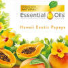 Air Wick Scented Oil Air Freshener Starter Kit, Hawaii Scent - AWSOAFSKHS1CT