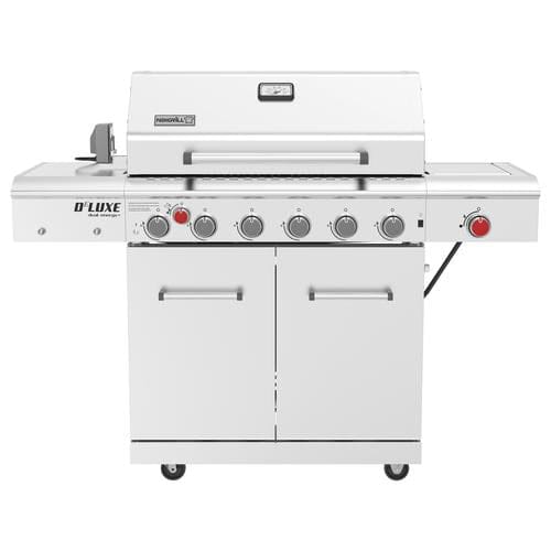 Nexgrill rotisserie hotsell