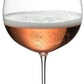 Riedel Champagne Tasting Set will glisten on your dinner table or bar to create a flawless experience for your next wine tasting at home and impress any wine enthusiast or wine lover - 5449/74-1 Pie's Variety Store
