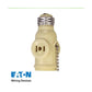 Copper Pull String Socket:  One socket to one socket with two 250W NEMA 1-15R outlets, Pull chain switch MEGA